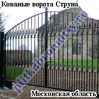 Кованые ворота Струна